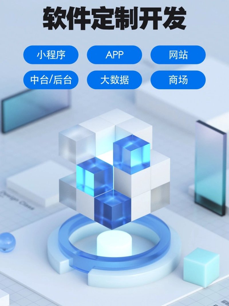 软件定制开发：企业信息化的新引擎